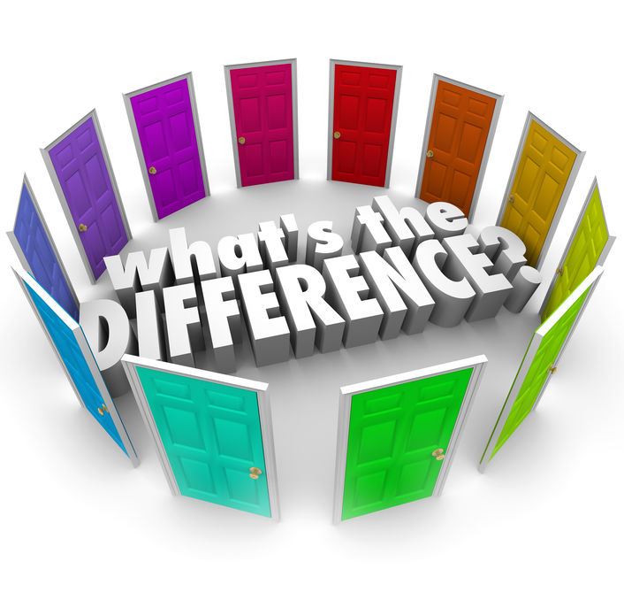 Franchise or Independent Business