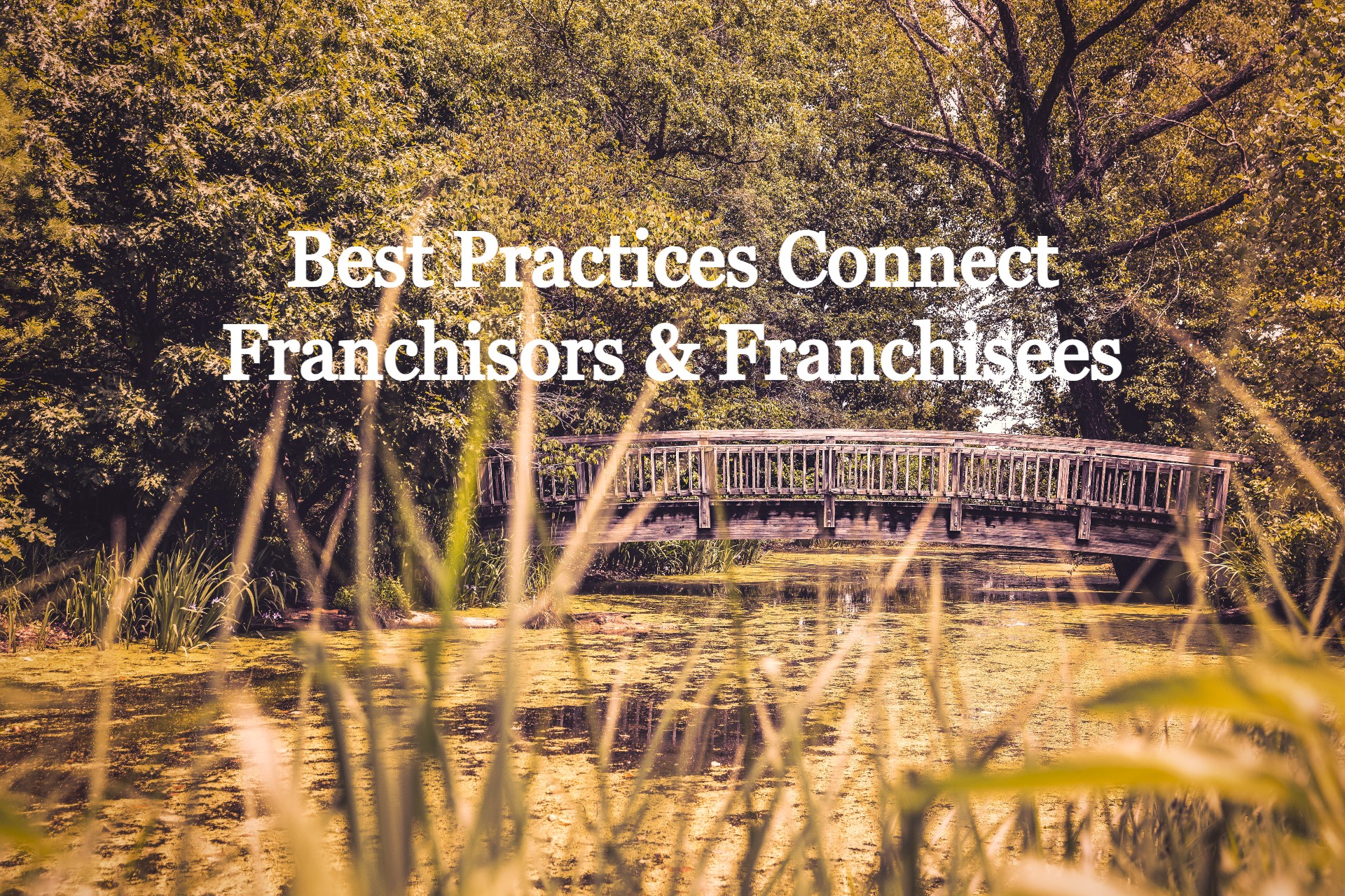 Franchise Best Practices